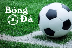 Tìm Hiểu Quy Định Bóng Trong Cuộc Và Bóng Ngoài Cuộc Theo Luật Fifa