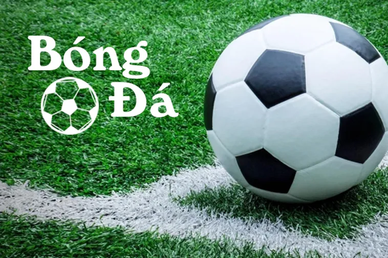 Tìm Hiểu Quy Định Bóng Trong Cuộc Và Bóng Ngoài Cuộc Theo Luật Fifa 1 Tìm Hiểu Quy Định Bóng Trong Cuộc Và Bóng Ngoài Cuộc Theo Luật Fifa
