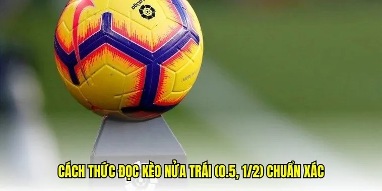 Kèo Chấp 0.5 Và Những Chiến Thuật Phân Tích Chuyên Sâu 1 Kèo Chấp 0.5 Và Những Chiến Thuật Phân Tích Chuyên Sâu