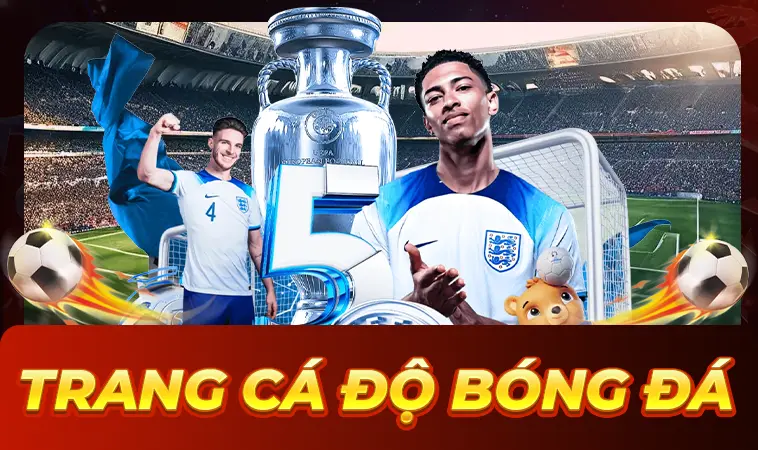 Top Trang Cá Độ Bóng Đá Uy Tín Nhất 2026: Đánh Giá Chi Tiết