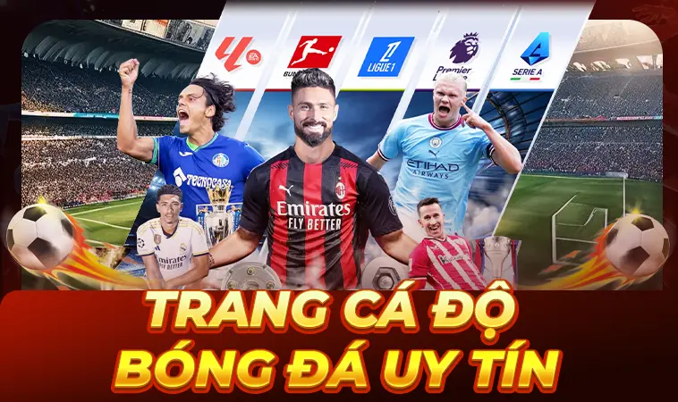 Top Trang Cá Độ Bóng Đá Uy Tín Nhất 2026: Đánh Giá Chi Tiết